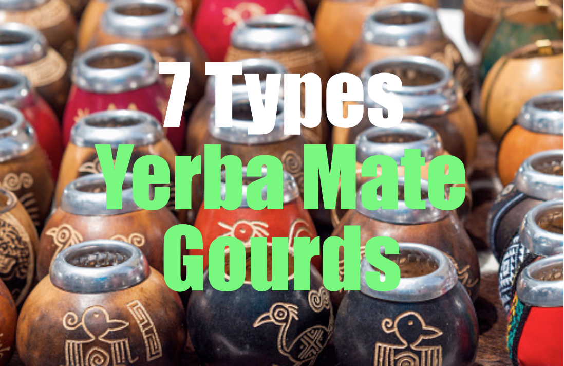 The 7 Types Of Yerba Mate Gourds Yerba Mate Lab