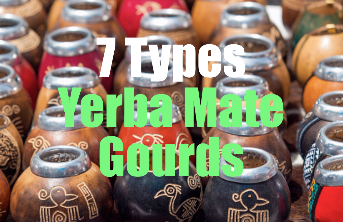 A Guide to Different Types of Yerba Mate: How to Choose the Best