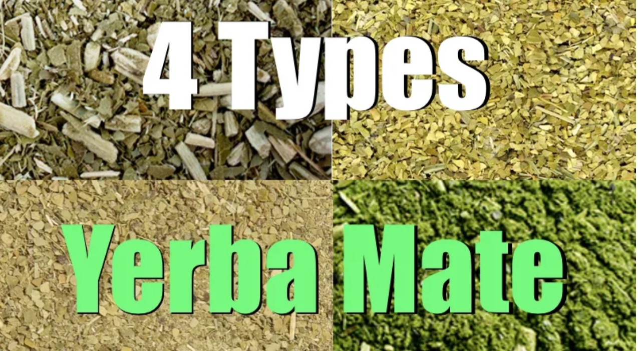 The 4 Types Of Yerba Mate (By Country) - Yerba Mate Lab