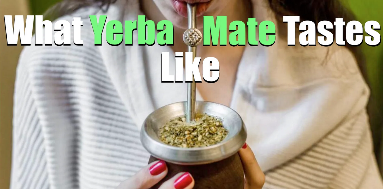 What Does Yerba Mate Taste Like? (Flavor Profile & Palate) - Yerba Mate Lab