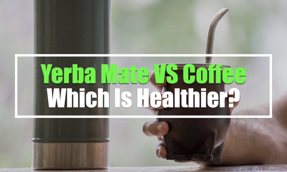 Yerba Mate VS Coffee (A Healthier Caffeine Alternative?) Yerba Mate Lab