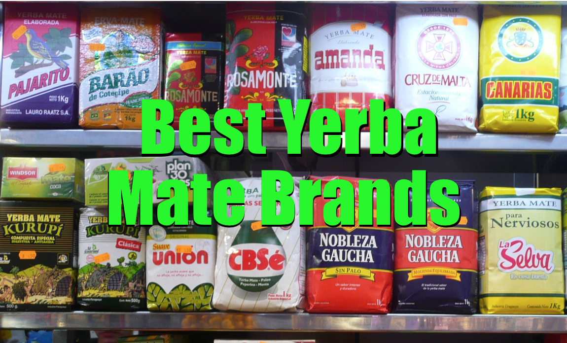 ~ kant Gespierd bijtend The 5 Best Yerba Mate Brands (Or What Everyone MUST-TRY!) - Yerba Mate Lab