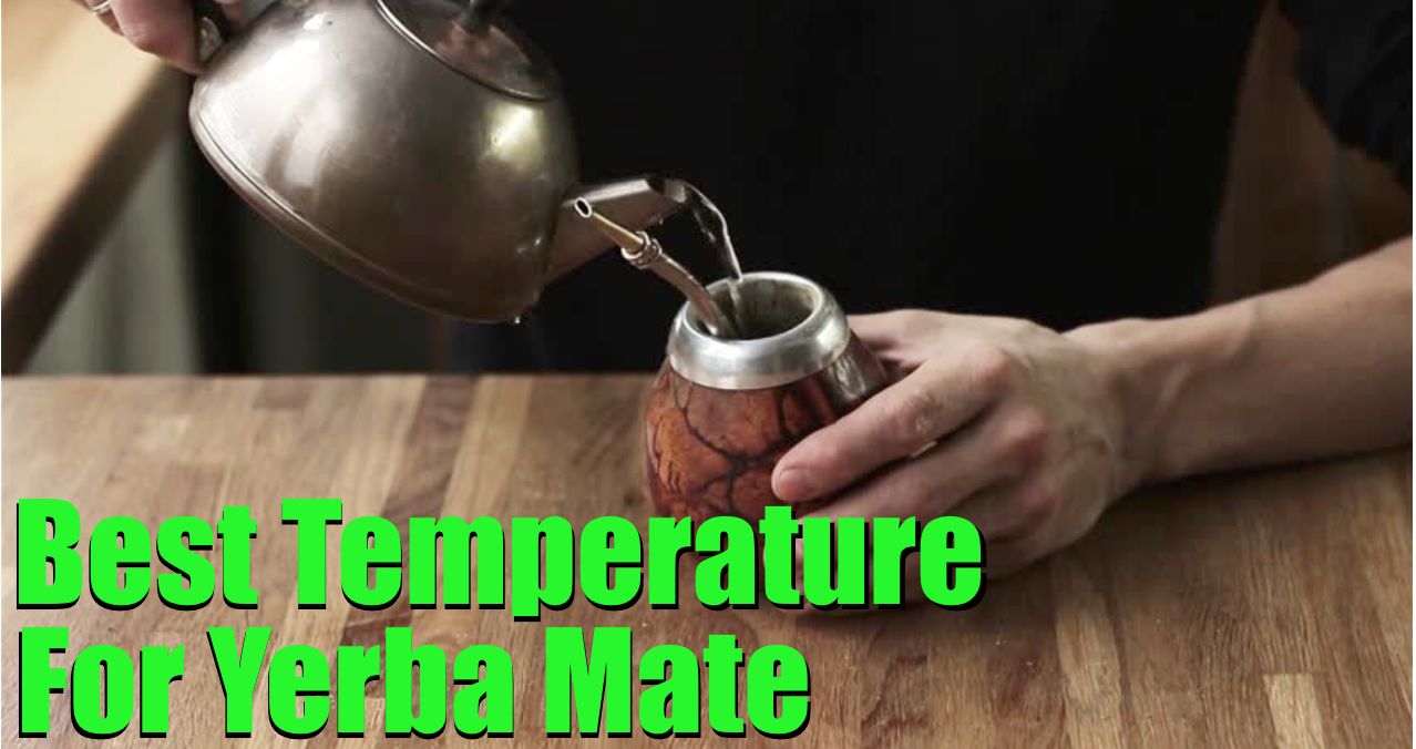yerba mate temperature