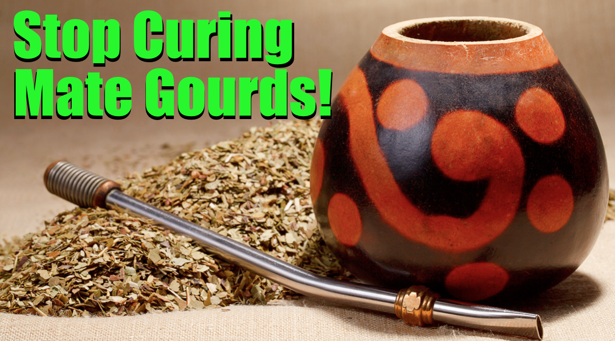 curing mate gourds