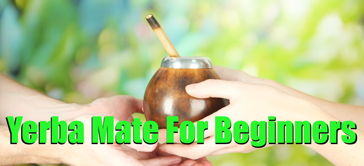 Yerba mate tea: a complete guide of this Argentinean drink
