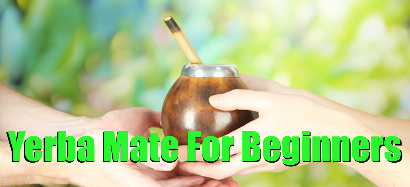 A Guide to Different Types of Yerba Mate: How to Choose the Best