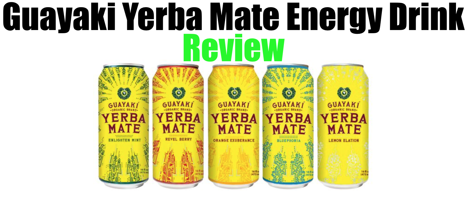 What is Yerba Mate? All about this popular drink ✓