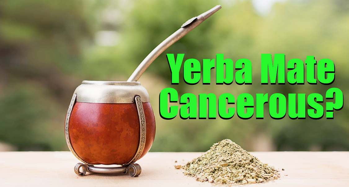 yerba mate cancer