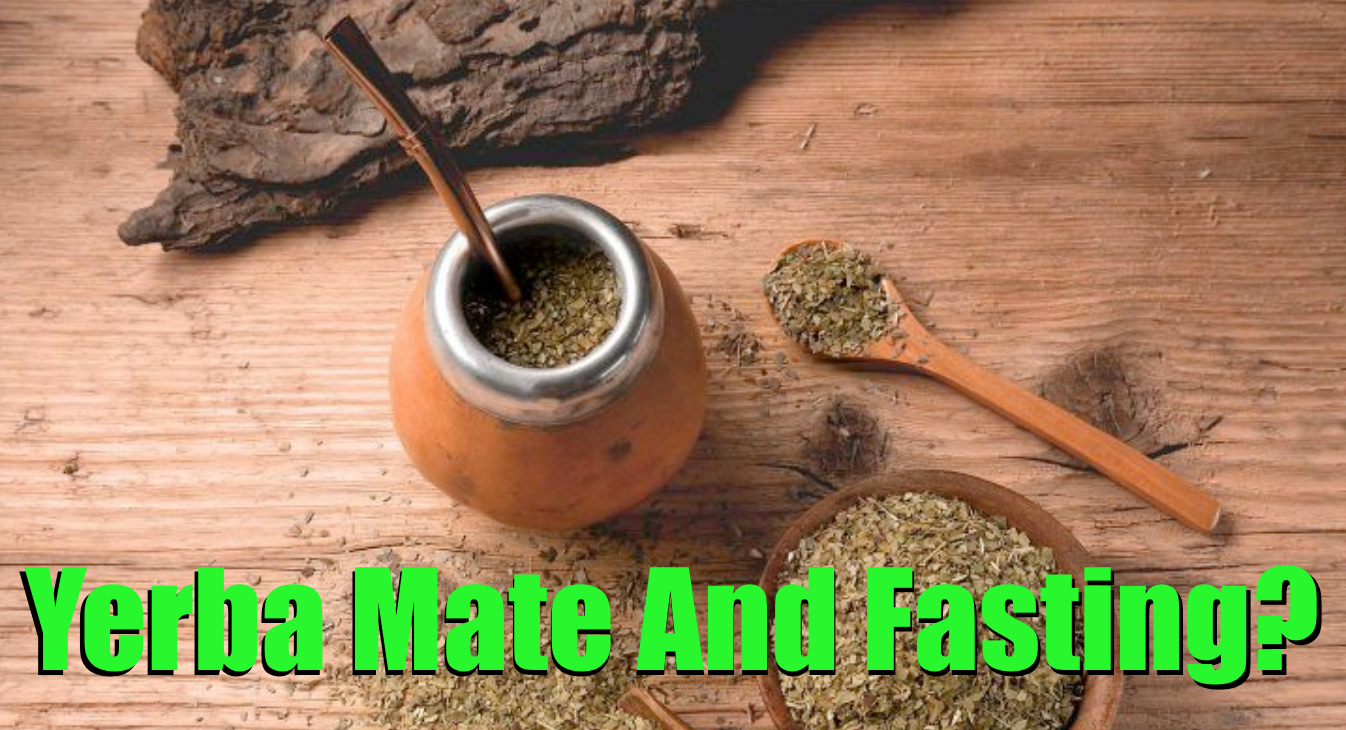 Mount Bank Kwijting bodem Yerba Mate And Intermittent Fasting For Fat-Loss (GUIDE) - Yerba Mate Lab