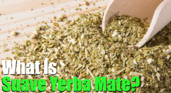what is suave yerba mate