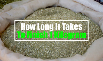 how long it takes to finish 1 kilogram of yerba mate