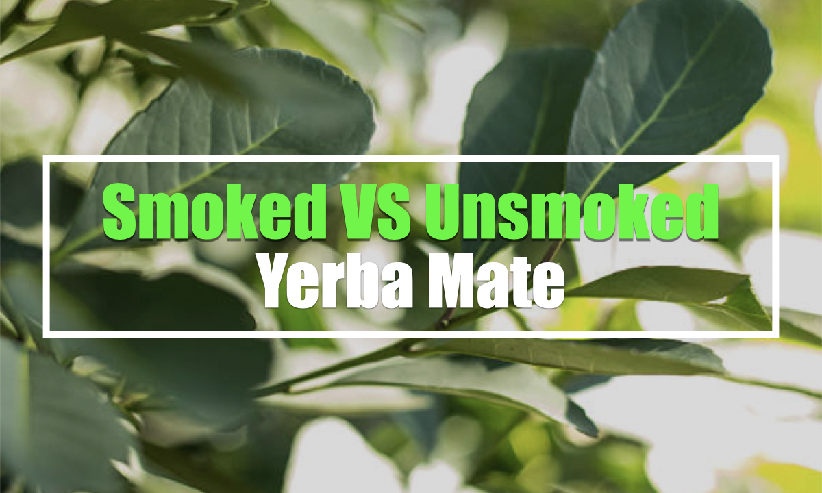 smoked vs unsmoked yerba mate