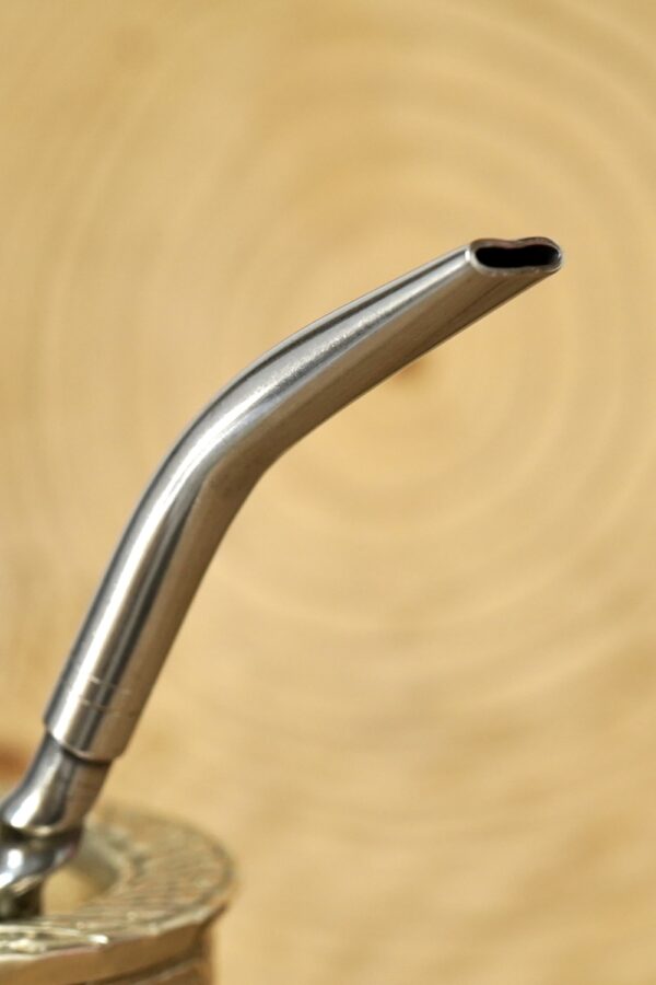 stainless steel spoon bombilla